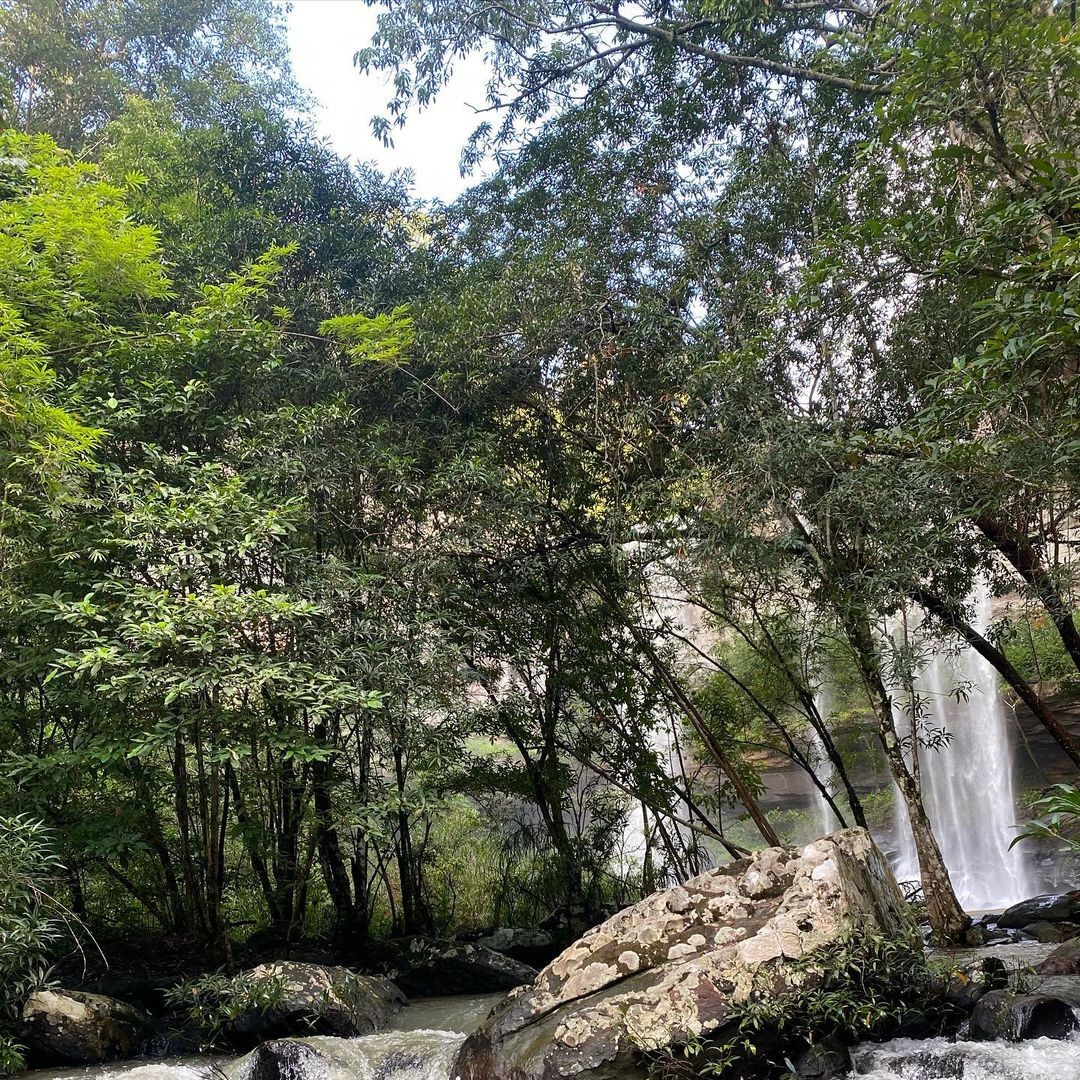 gampinnn_20211110_152