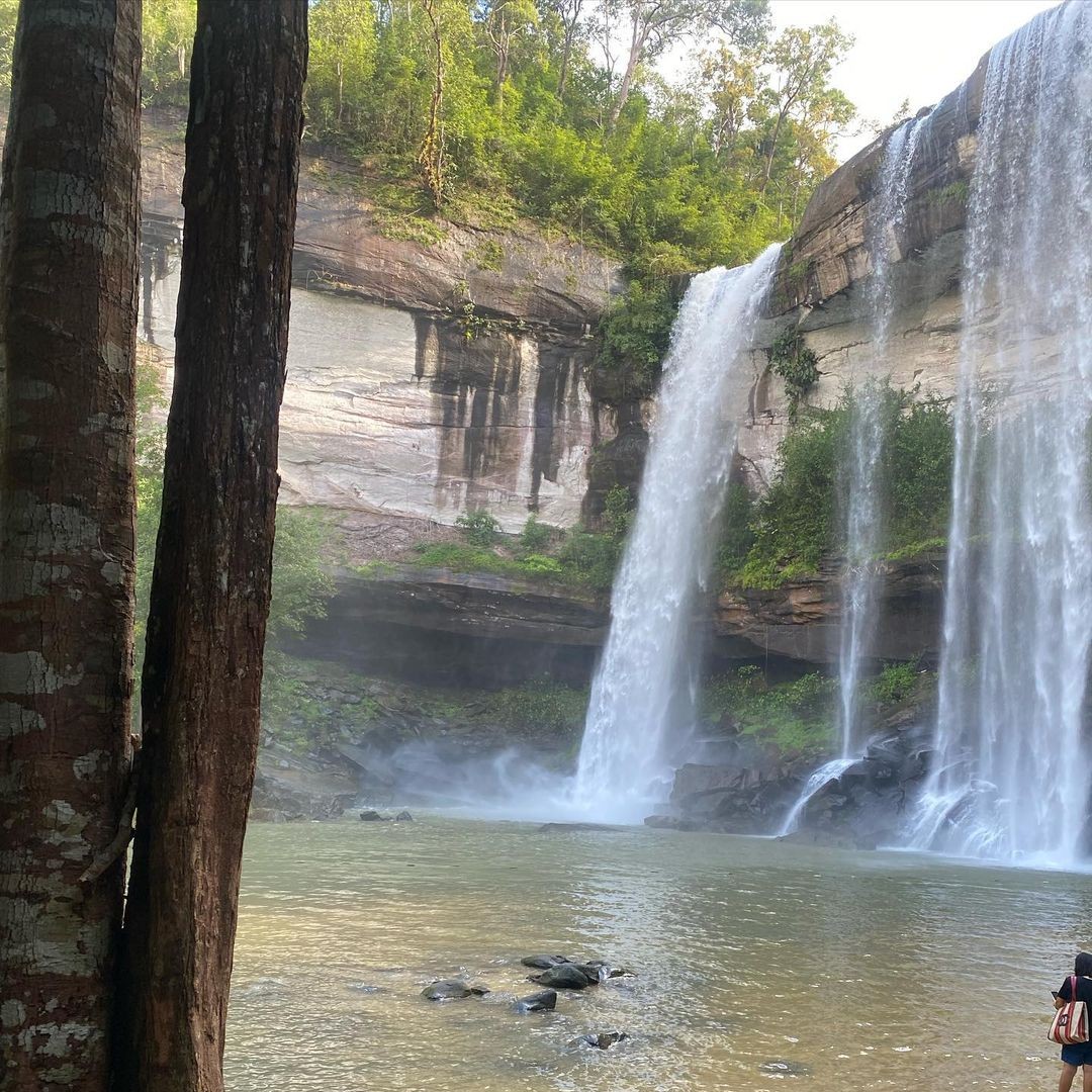 gampinnn_20211110_151